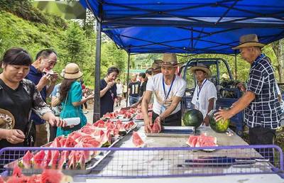 鞋帽零售領跑，我市社會消費品零售總額增速榮登全省榜首