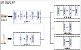 豬肉溯源系統軟件設計開發解決方案,保障食品安全